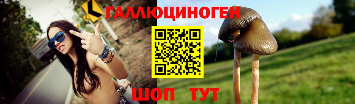 Всеволожск  Галлюциногенные грибы MAGIC MUSHROOMS  Вход с VPN 